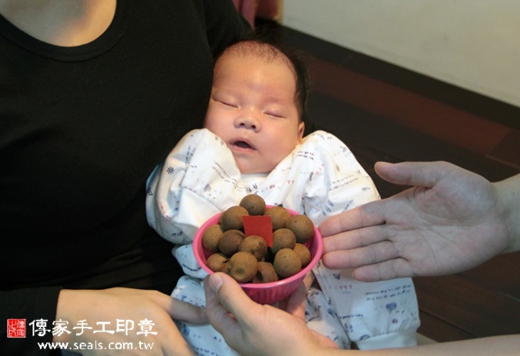 楊寶寶(新北汐止區到府嬰兒寶寶滿月剃頭理髮、免費到府嬰兒剃胎毛儀式吉祥話)。到府剃頭剃胎毛主持、專業拍照、DVD光碟、證書。★購買「臍帶章、肚臍章、胎毛筆刷印章」贈送：剃頭、收涎、抓周，三選一。2015.11.20 照片7